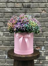 Цветочная композиция из Гипсофила и Розы в шляпной коробке в Новофрязино