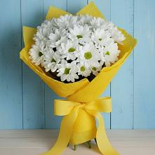 Букет цветов из:  Хризантемы в Новофрязино