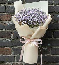 Букет цветов из:  Гипсофила #REPLACE_PRED# Новофрязино