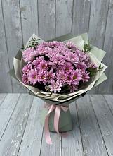 Букет цветов из:  Хризантемы в Новофрязино