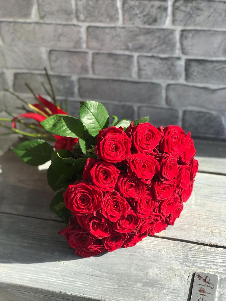 Букет Красные розы Фридом в Новофрязино