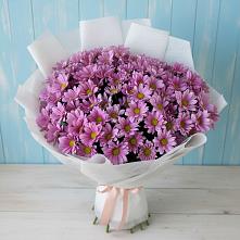 Букет цветов из:  Хризантемы в Новофрязино