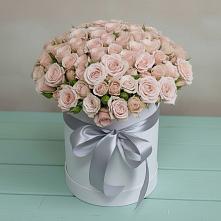 Цветочная композиция из Розы в шляпной коробке в Новофрязино