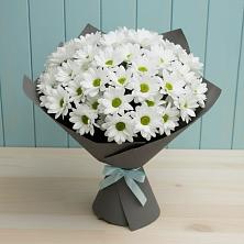 Букет цветов из:  Хризантемы в Новофрязино