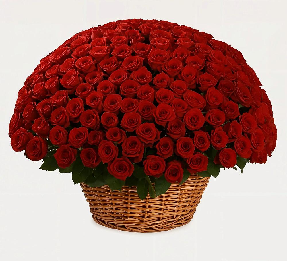 Премиум букет из: Розы в Новофрязино