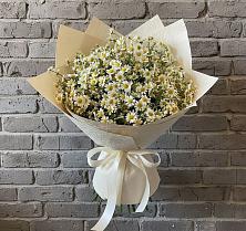 Букет цветов из:  Ромашки в Новофрязино