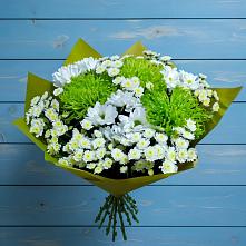 Букет цветов из:  Хризантемы в Новофрязино