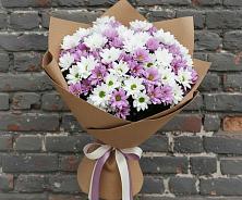 Букет цветов из:  Хризантемы в Новофрязино