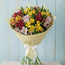 Букет цветов из:  Альстромерии в Новофрязино