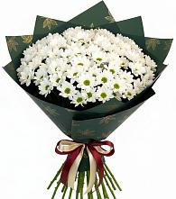Букет цветов из:  Хризантемы в Новофрязино