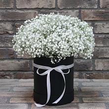 Цветочная композиция из Гипсофила в шляпной коробке в Новофрязино