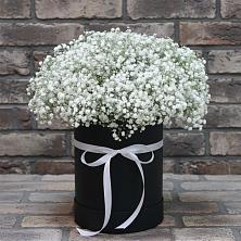 Цветочная композиция из Гипсофила в шляпной коробке в Новофрязино