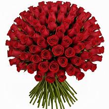 Букет Красные розы Чери Лав в Новофрязино