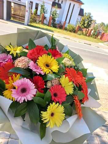 Букет цветов из: Герберы в Новофрязино