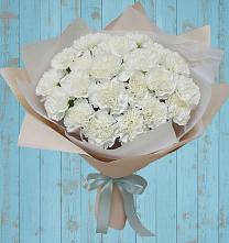 Букет цветов из:  Гвоздики в Новофрязино